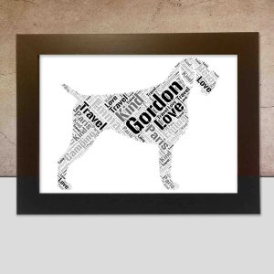 German Wirehaired Pointer